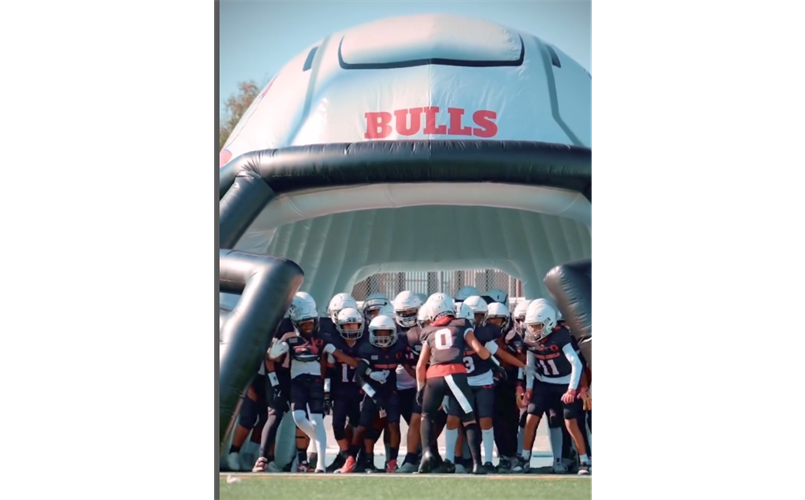 Play With The Bulls You Get The Horns